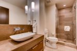 The Lion Vail 1 Bedroom